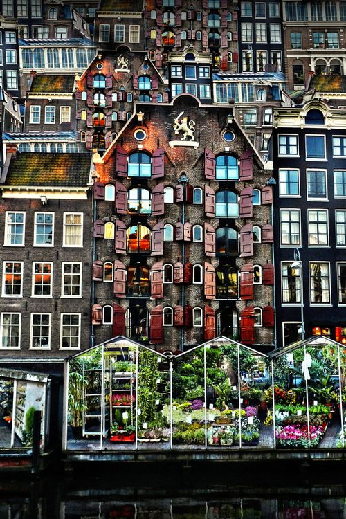 Amsterdam-The-Flower-Market, journal of wild culture