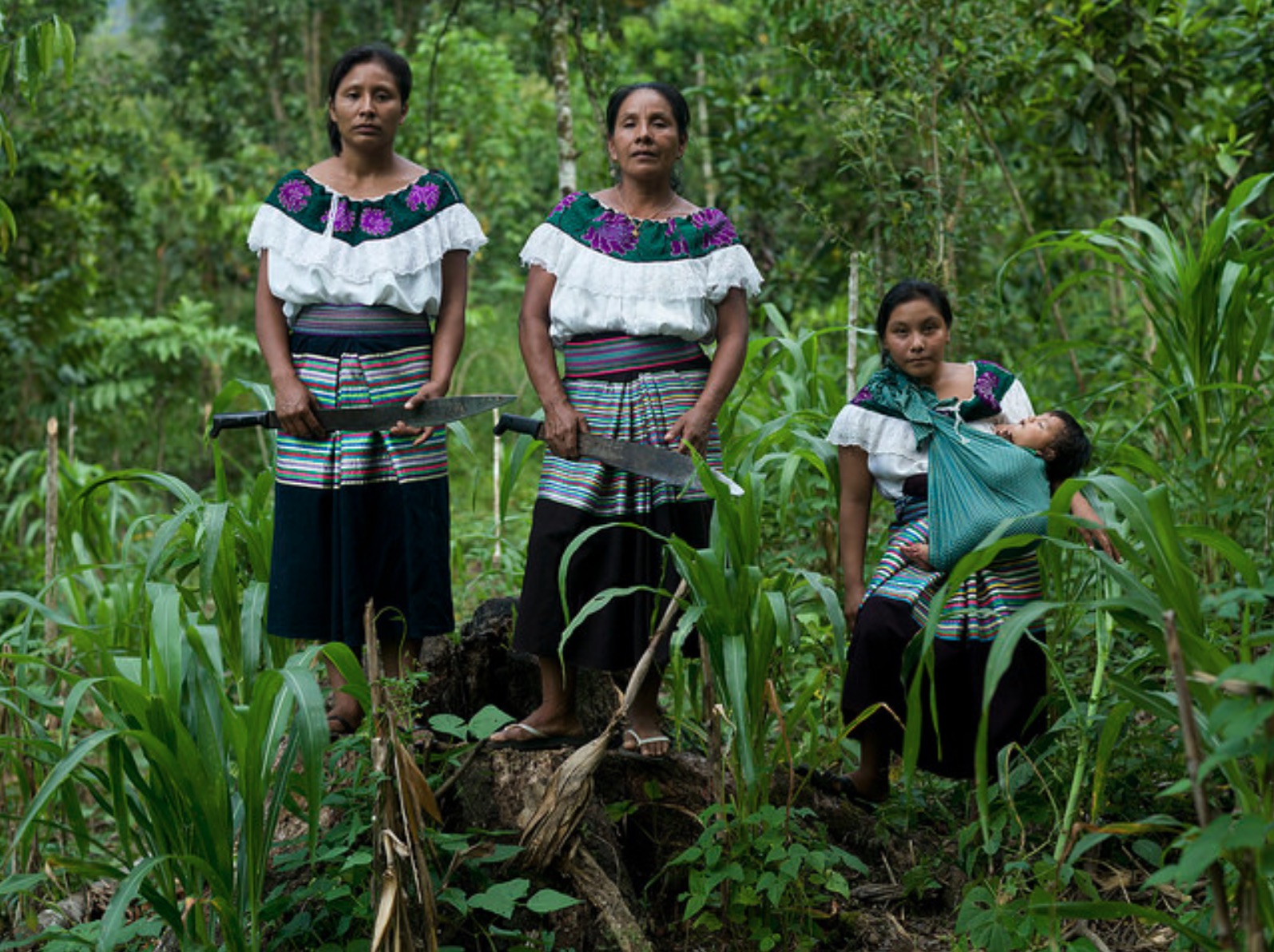 Mexican corn farming women, journal of wild culture, ©2020