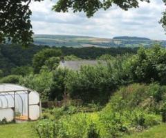 polytunnel in landscape, journal of wild culture, ©2019