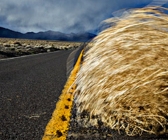 Tumble weed on highway, journal of wild culture, ©2019