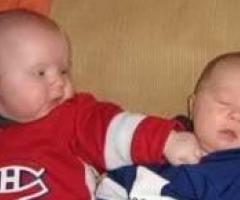 Hockey infants fighting