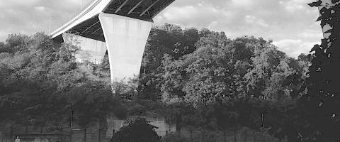 Bloomfield Bridge, Wild Culture, Bridging Nature, ©2015
