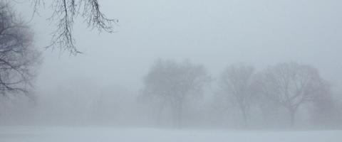 Central Park, Great Hill, in winter, #3, by Whitney Smith ©2014