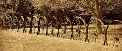 wagonwheel_fence, Journal of Wild Culture