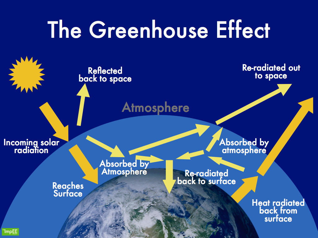 What To Do At Home To Reduce Greenhouse Gas Emissions The Journal Of Wild Culture