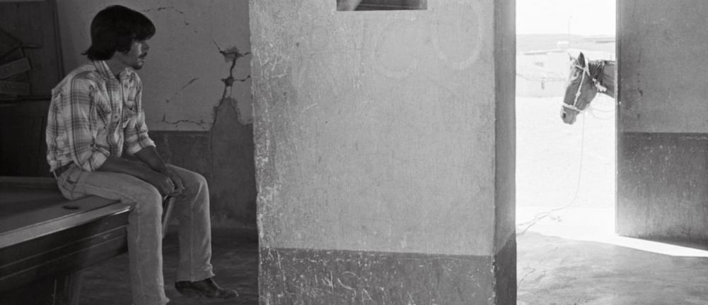 'Bar in Northern Mexico'(inset)_Debra Friedman 'Bar in Northern Mexico'(inset)_Debra Friedman©_journal of wild culture