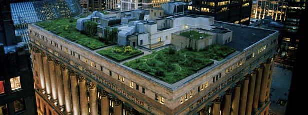 Roof gardens, Chicago