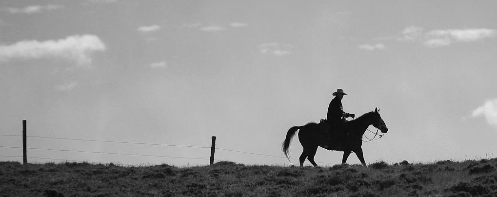 Cowboy on horseback in the open range
