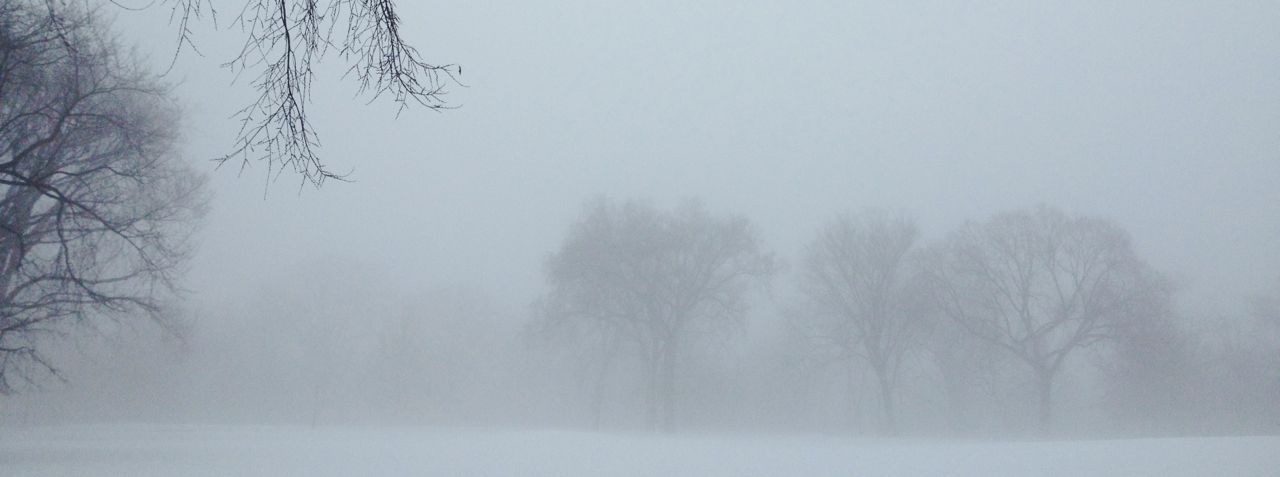Central Park winter, Great Hill, #3, by Whitney Smith ©2014 Central Park, Great Hill, in winter, #3, by Whitney Smith ©2014