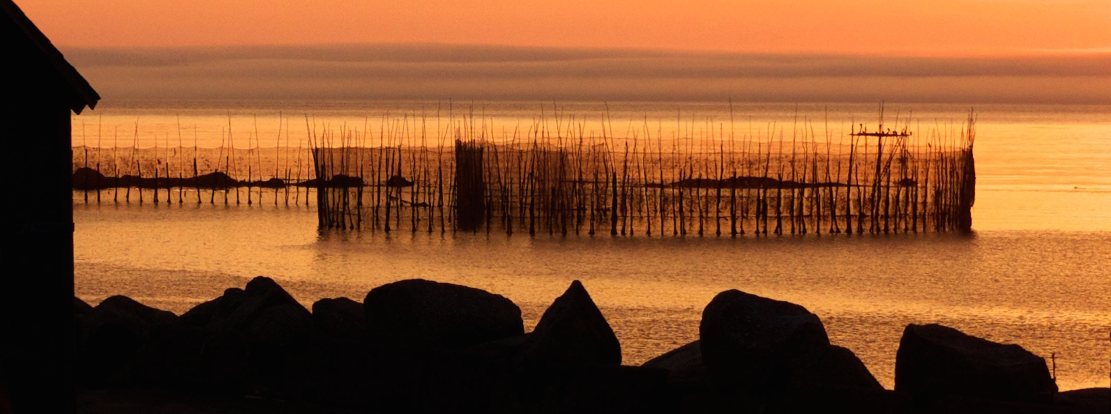 The Last Weir, by Tim Wilson, ©2015, The Journal of Wild Culture