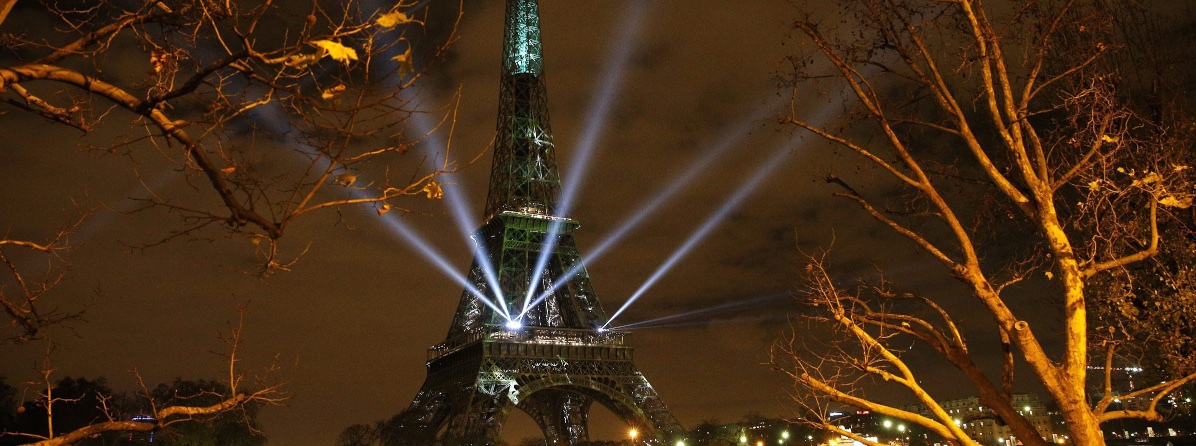 Paris Climat 2015, Journal of Wild Culture, ©2015