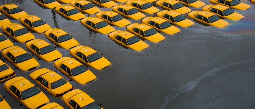 Taxis underwater, Journal of Wild Culture, ©2016