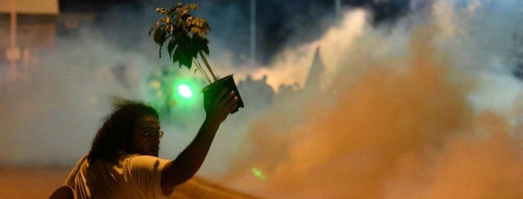 Potted plant as bomb, Turkey protests 2013