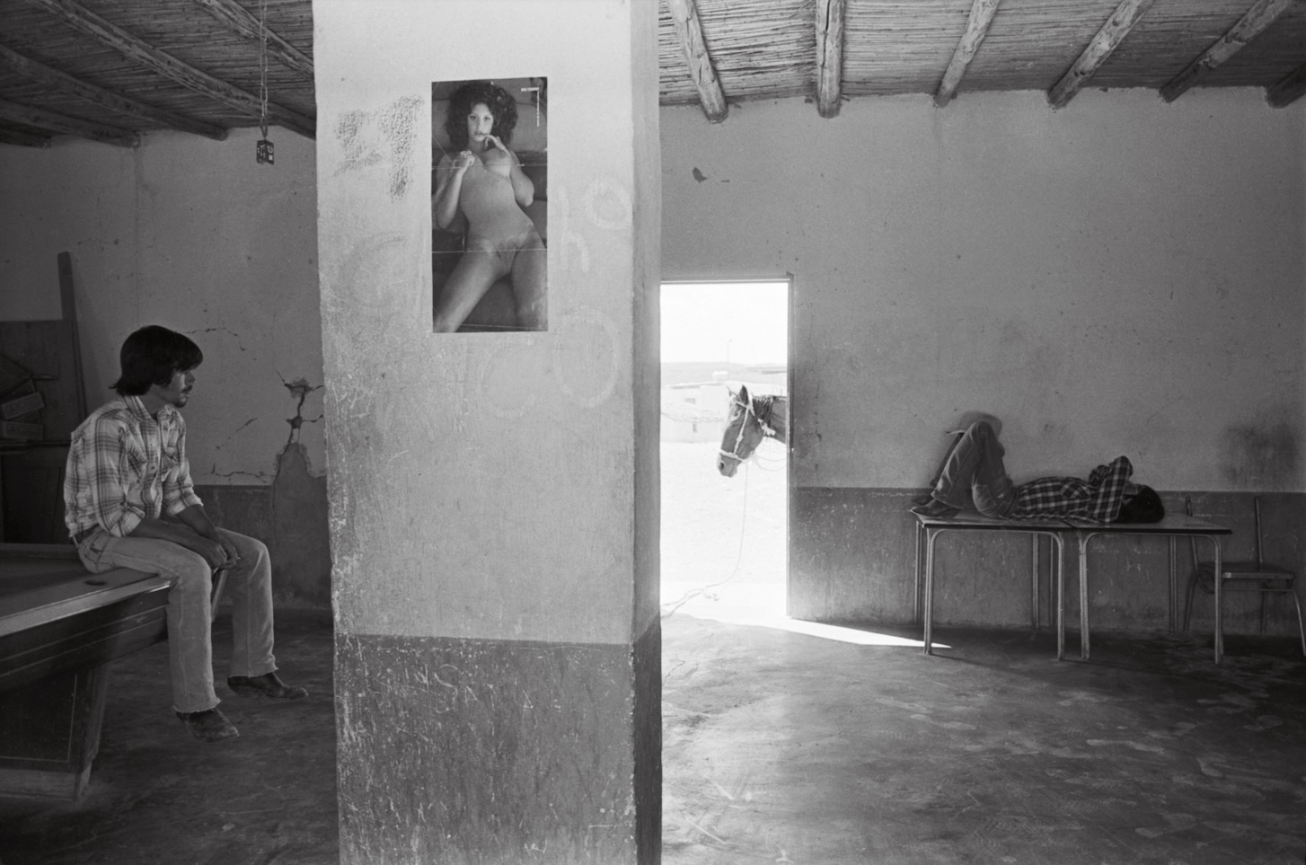 Photography by Debra Friedman@_journal of wild culture.jpg