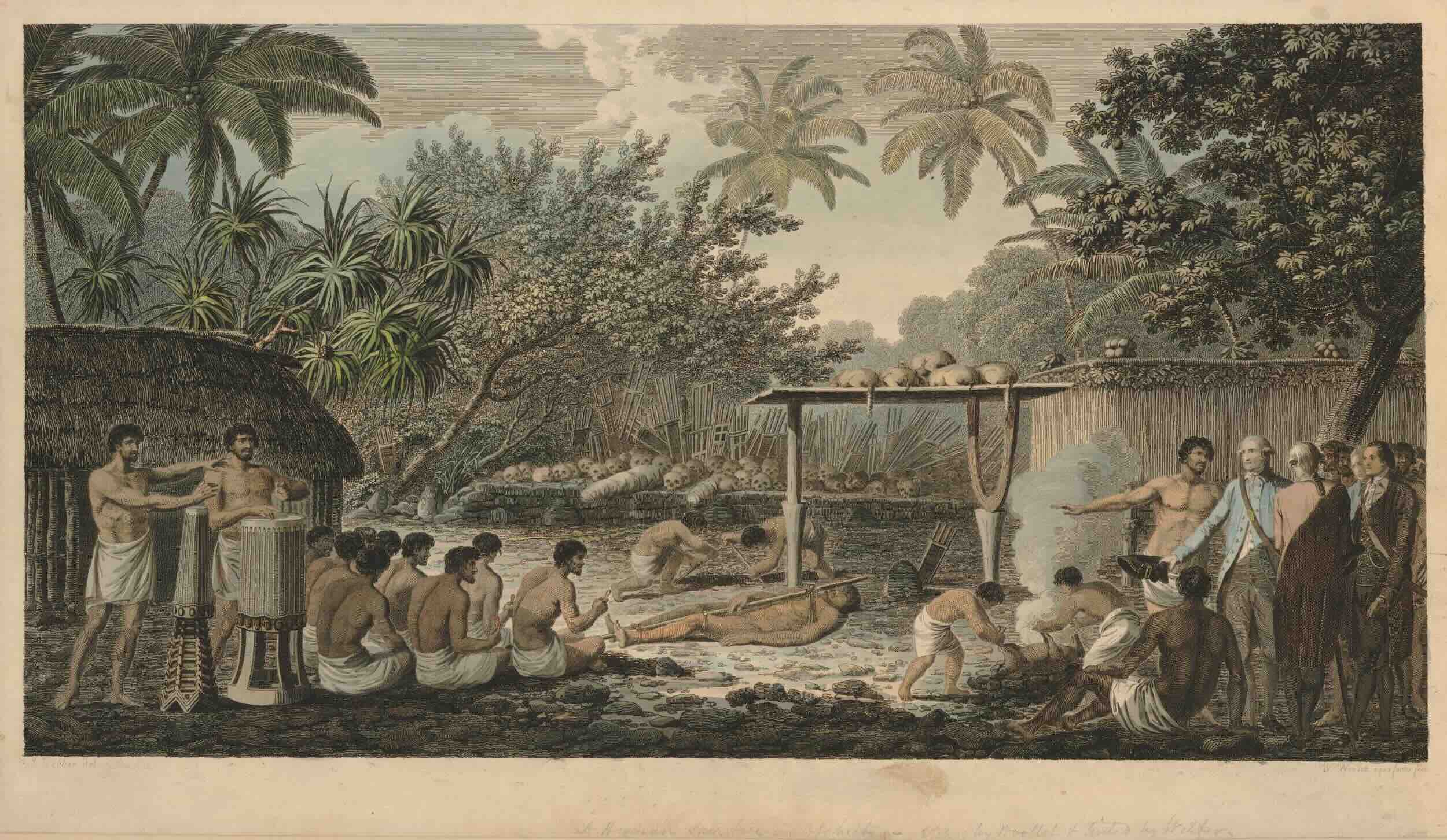 Capt Cook's Pacific voyages_journal of wild culture ©2026.jpeg
