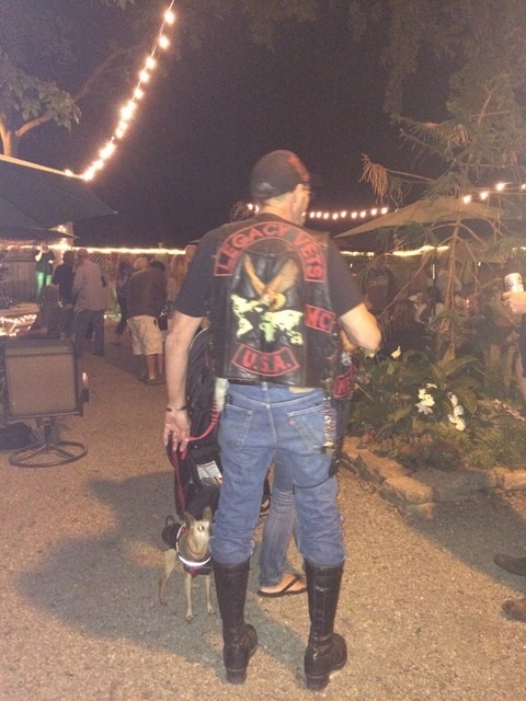 Biker and dog and market_journal of wild culture ©2026