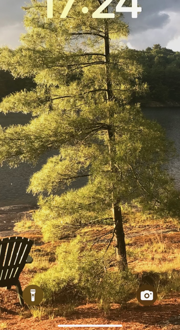 Lake and Chair_journal of wild culture