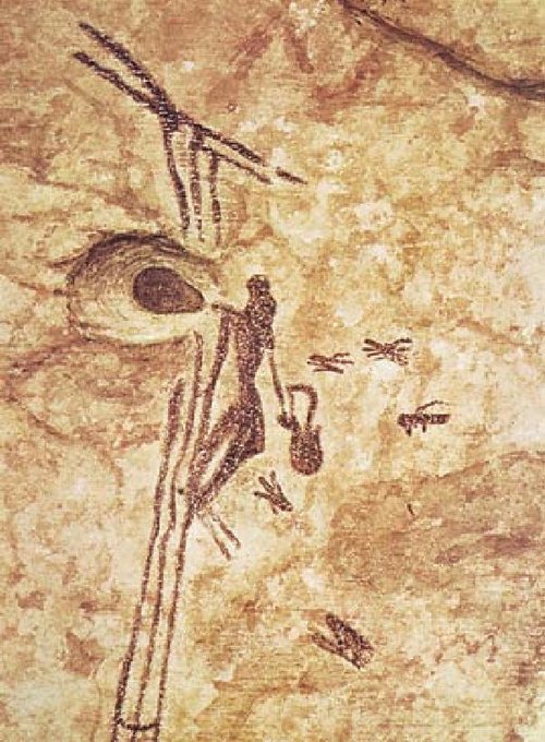 Bees in cave paintings, journal of wild culture ©2022