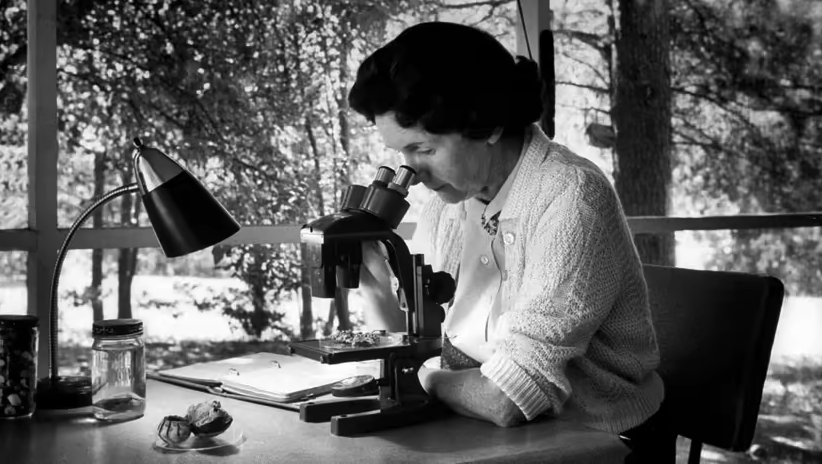 Rachel Carson_great 20th century activists