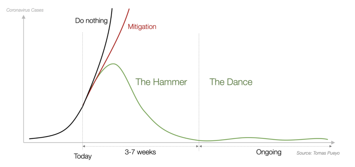 Tomas Pueyo, 'The Hammer and the Dance' diagram journal of wild culture, ©2020