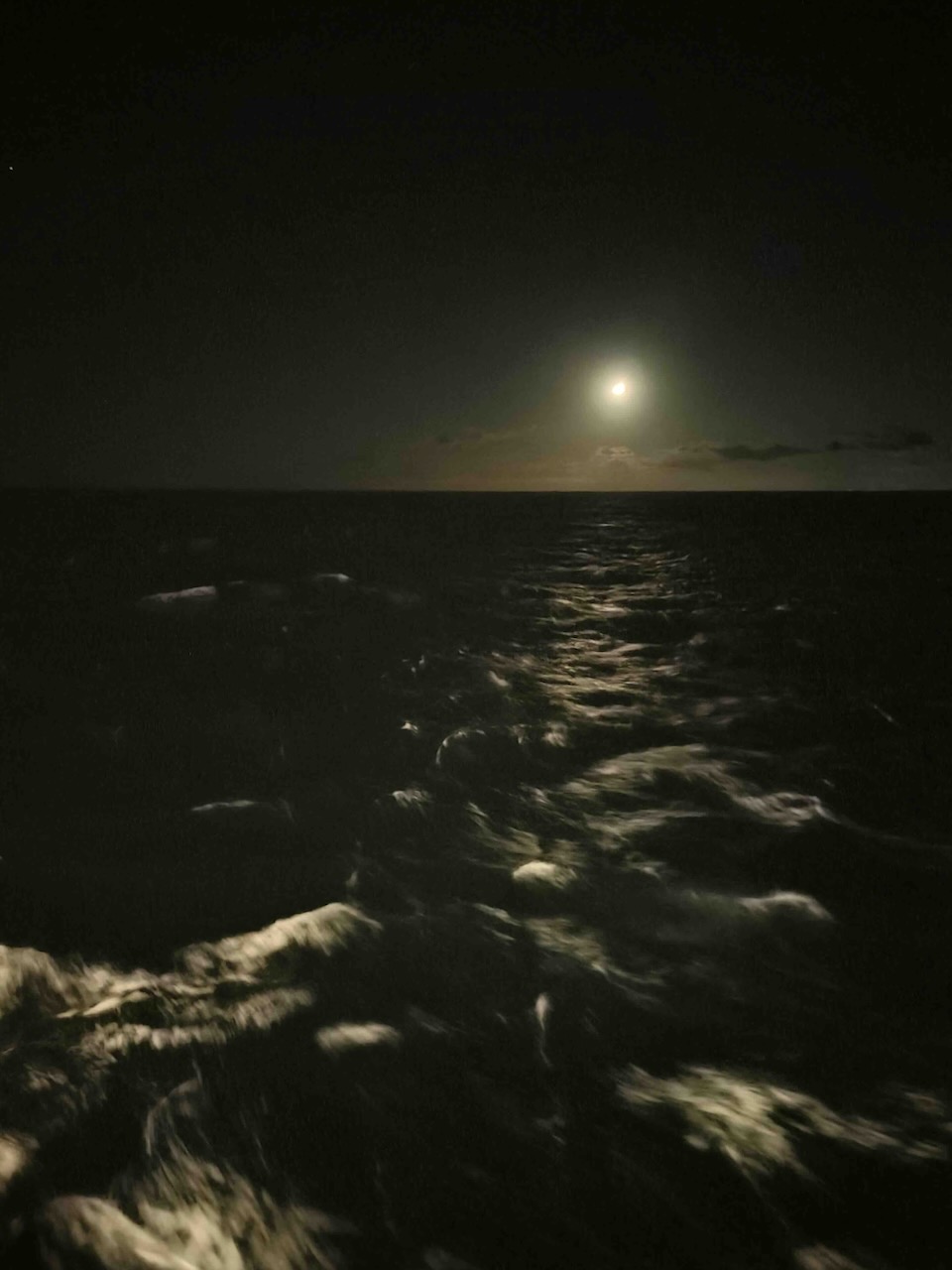Sea from stern of ship at night_journal of wild culture