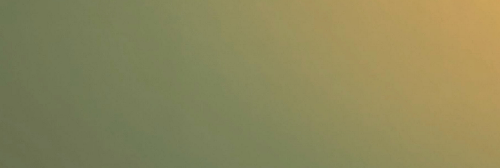 Sunscape Yellow Green, journal of wild culture ©2025.jpg