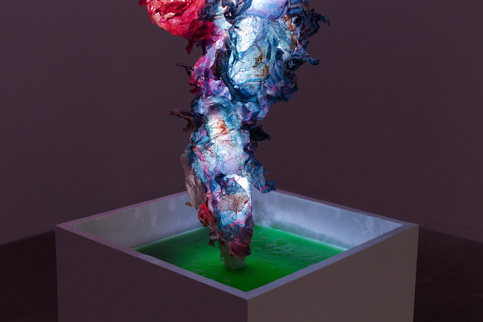 Living sculptures_Vladimir Kanic