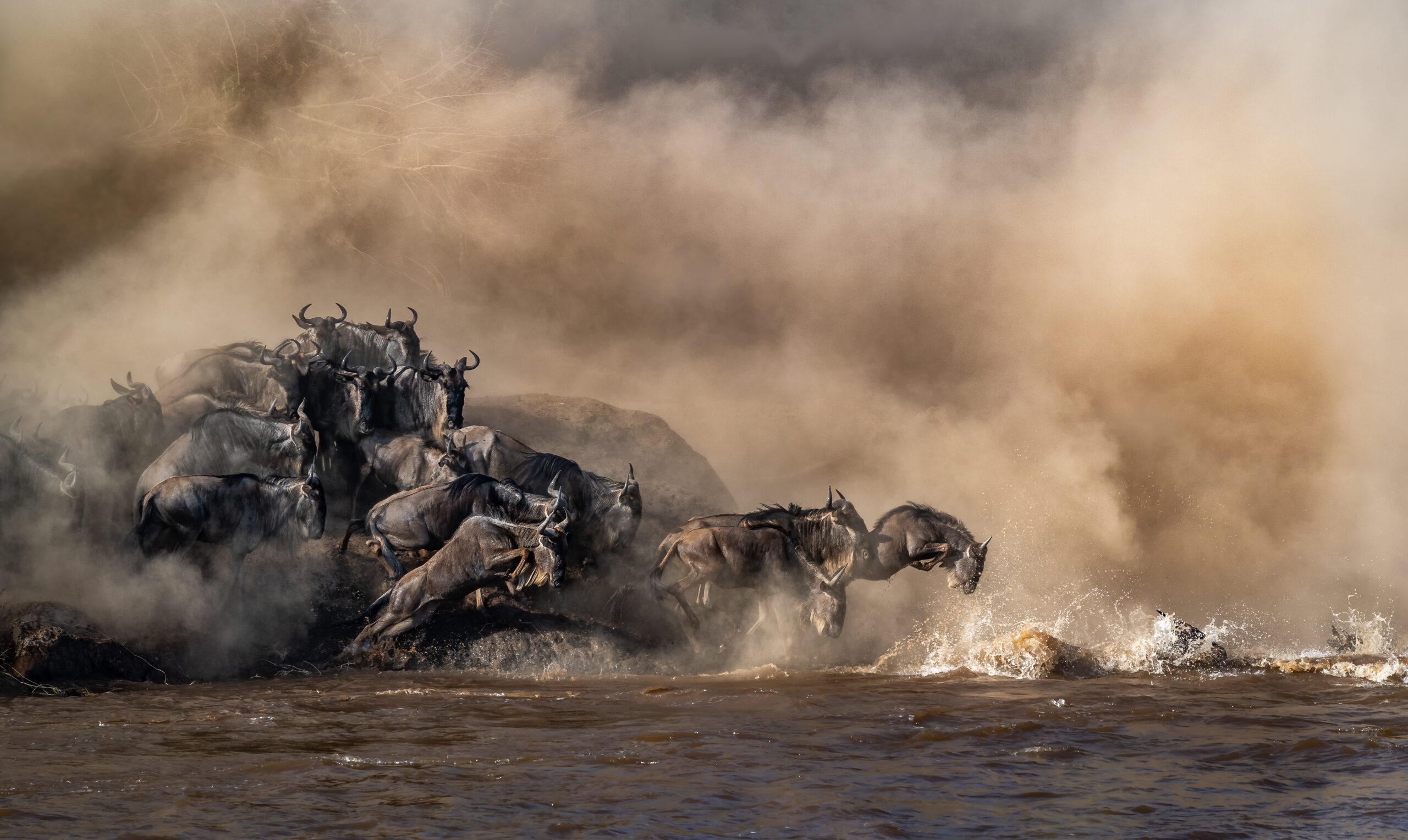 Wildebeests©Artur Stankiewicz_journal of wild culture ©2021