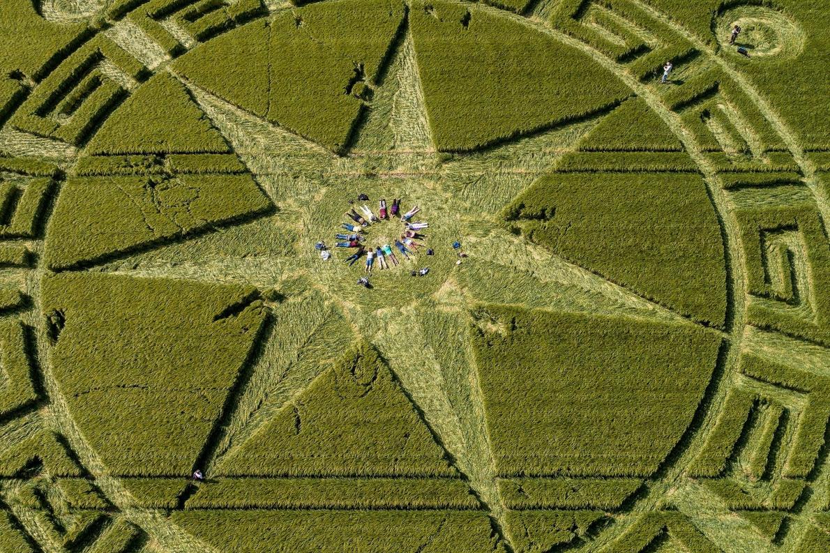Crop circle enthusiasts, journal of wild culture, ©2020