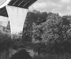 Bloomfield Bridge, Wild Culture, Bridging Nature, ©2015