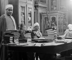 Librarians, Cairo, Wild Culture, ©2014