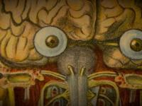 Brain with eyes