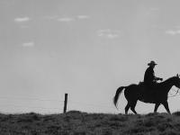 Cowboy on horseback in the open range
