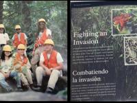  Fighting an Invasion_journal of wild culture