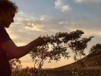  Jason Logan foraging_colour of ink_journal of wild culture ©2023.jpg (212.83 KB) * 	