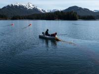  Kelp farming Alaska Nature Conservancy, journal of wild culture