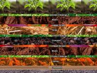  Lasagna garden, journal of wild culture