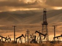 oil fields_journal of wild cultulre ©2023