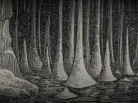 Stalagmites