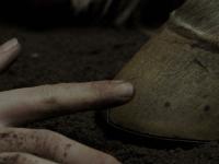 Touching nature, aboriginal rights loses touch in Canadian policy